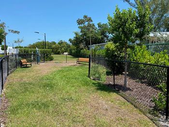 The quarry key west dog park